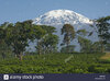 kaffeeplantage-am-fusse-des-mt-kilimanjaro-tansania-ab9k4w.jpg