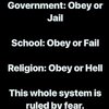 FB_IMG_1531200208318.jpg