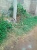 IMG_20190624_142256.jpg