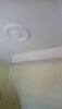 IMG_20200305_141006.jpeg