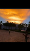 Screenshot_20200417-103540.png