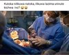 FB_IMG_15883218708105941.jpg