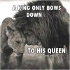 44262-A-King-Only-Bows-Down-To-His-Queen.jpg