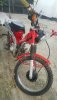 IMG-20200808-WA0001.jpg