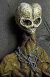 ALIEN IN RWANDA.jpg