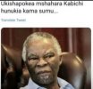 FB_IMG_16331870239275542.jpg