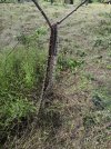 IMG_20210415_145944.jpg