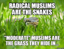 F9Ojc4VagAEb5Ef.png
