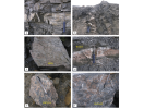 Photographs-showing-field-relationships-of-iron-ores-and-migmatitic-rocks-a-Migmatite.png