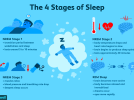 the-four-stages-of-sleep-2795920_FINAL-5c05c2fc46e0fb00018dac3d.png
