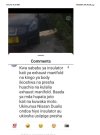 NISSNA DUALIS.jpg