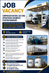 Lindi Graphite Technology Ltd job.png