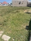 IMG_1946.jpeg