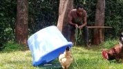 downloadfile-46.jpg