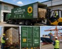 Refined Sunflower Oil in Bulk.jpg
