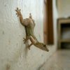 downloadfile-48.jpg