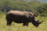 pexels-john-mburu-2153565505-38054735.jpg