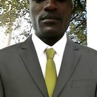 Evans pilisi