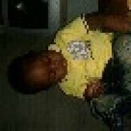 sshonela