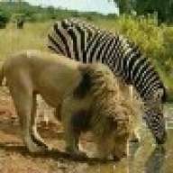kaberweye