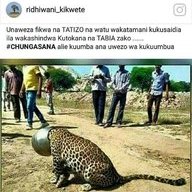 mwihava