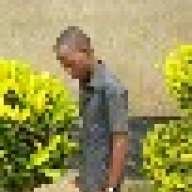 naphthedon