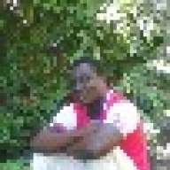 simba the don