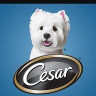 Cesar