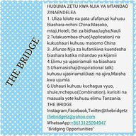 thebridgetz
