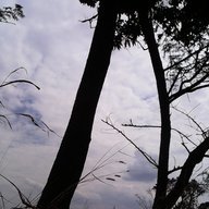 Kumi_na_saba_7_1987