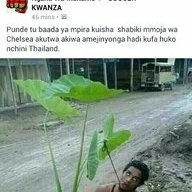 emillymnenuka