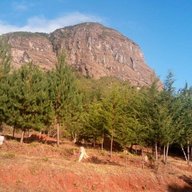Kaozlee
