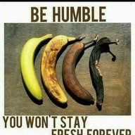 Wife to a king