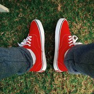 stivee