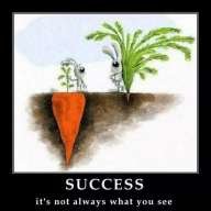Leadership Consultant