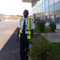 Bob zube