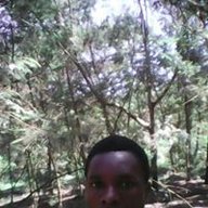 jaymore