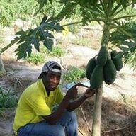 jayamiri
