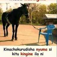 Side Mnyama