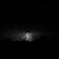 Dark Light