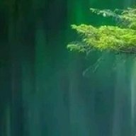 Chief Majinge heritage