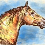 Stalion007
