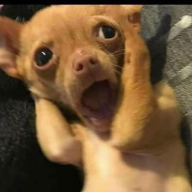 Mbomozo