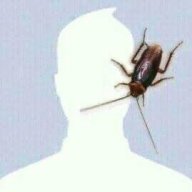 kabulimvos