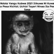 The Nswijo