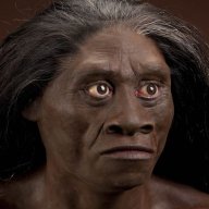 Homo Floresiensis