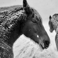 The cracker redeemer