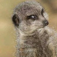 Nitaenda Misaa yaTatu