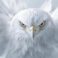 useyourcommonsensetothink