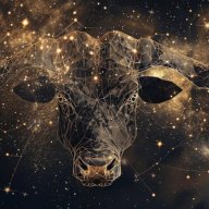 Noah abel thelastborn